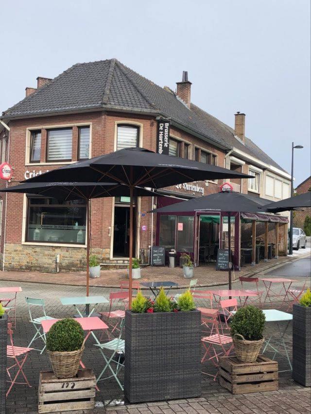 Homestay La Montagne Des Coeurs Eigenbilzen Bagian luar foto